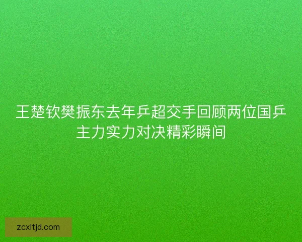 王楚钦樊振东去年乒超交手回顾两位国乒主力实力对决精彩瞬间