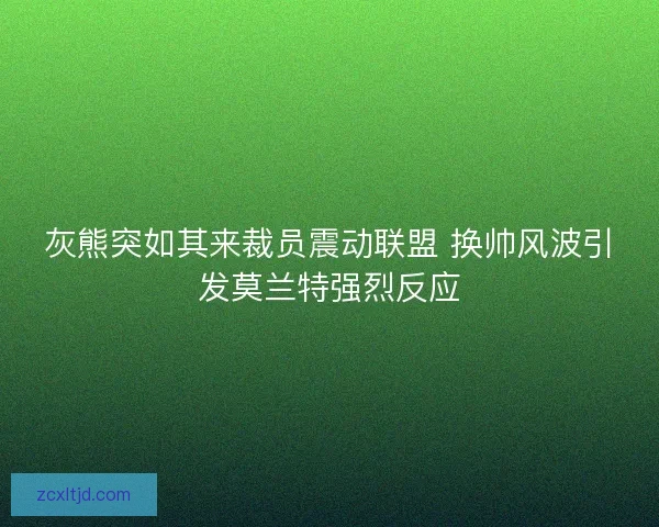 灰熊突如其来裁员震动联盟 换帅风波引发莫兰特强烈反应
